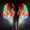 Colorful Wings