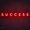 Success