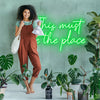 This must be the place